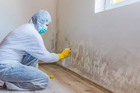 Why You Should Choose Our Mold Remediation Services in Gower, MO